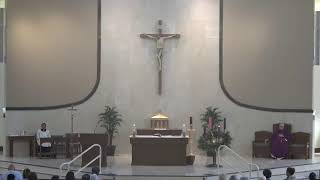 St John the Evangelist Catholic FL First Sunday of Advent  Mass During the Day at 1100 AM [upl. by Odlauso]