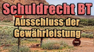 Ausschluss der Gewährleistung  Schuldrecht BT 07 [upl. by Eilatan]