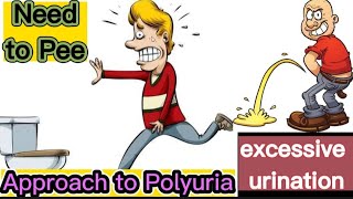 Polyuria  Excessive Urination  Approach to Polyuria  Excessive Pee  Diabetes Insipidus [upl. by Enuj]