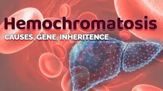 HEMOCHROMATOSIS GENETIC DISORDER OF LIVER BSC NURSING 2024 [upl. by Rachelle]