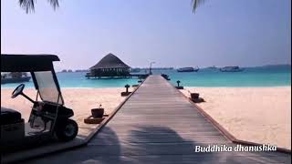 Angsana Velavaru Resort in Maldives travel resort hotels [upl. by Docia]