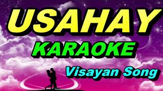 USAHAY KARAOKE  Visayan Song [upl. by Guria]