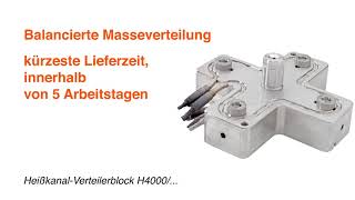 HASCO H4000 HeißkanalVerteilerblock DE [upl. by Ruprecht]