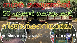 നിഗൂഢതകളും വിശ്വാസങ്ങളും നിറഞ്ഞ ഇരിങ്ങോൾ കാവ് TravelWithAnil8154 [upl. by Edylc]