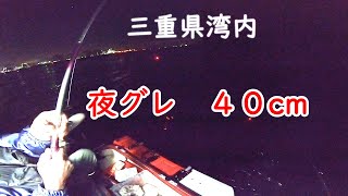 【三重県】湾内、グレ４０オーバー釣れる！ [upl. by Ori291]