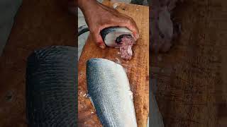 WATCH HOW TO DEBONE FISH😲 deboning bangus fish asmr satisfyingsounds shorts [upl. by Cutlip]