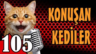 Konuşan Kediler 105  En Komik Kedi Videoları [upl. by Jacobsen]