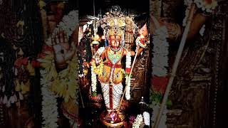 Om Saravana Bhava powerful murugan song music tamilsong tranding popularsong [upl. by Gavette]