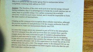 Why is the acetyl group attached to oxaloacetate [upl. by Kcerb]