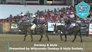 Watch the delightful Donkey amp Mules at Midwest Horse Fair 2023 [upl. by Eerot]