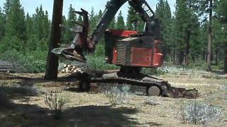 Timbco Cutting big trees [upl. by Sarene]