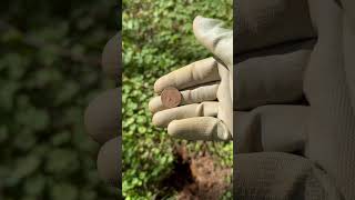 Buffalo Nickel reels trending coin metaldetecting [upl. by Arbmahs]