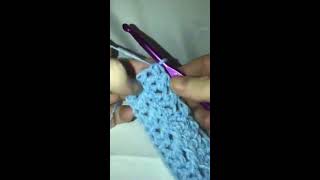 Crochet Open Ridge Stitch Tutorial [upl. by Nosille]