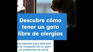 Razas de Gatos Hipoalergénicos ¡Descubre las Mejores Opciones para Alérgicos 🐱🌟 [upl. by Maryellen]