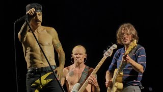 Red Hot Chili Peppers  quotCalifornication Livequot 4K [upl. by Barra]