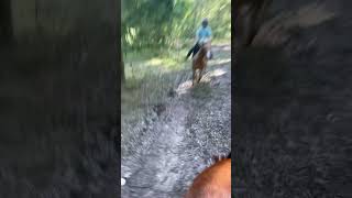 First time cantering on my horse Dolly horse blowup [upl. by Sander]