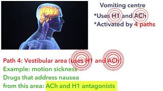 Ondansetron dolasetron and other setron antiemetics [upl. by Ecinnahs]