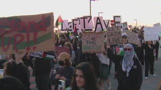 Protesters demanding ceasefire in Gaza blocked traffic near LAX [upl. by Eessej]