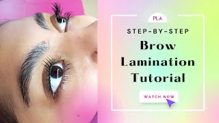 How to do Brow Lamination  A StepbyStep Tutorial [upl. by Revart]