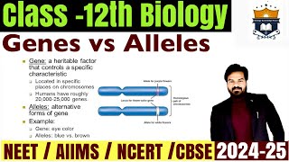 Gene vs Allele difference  Difference between Genes and Allele class 12 Biology  NEET [upl. by Audry526]