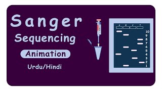 Sanger Sequencing  DNA sequencing  Dideoxy method of DNA sequencing  Animation [upl. by Taber]