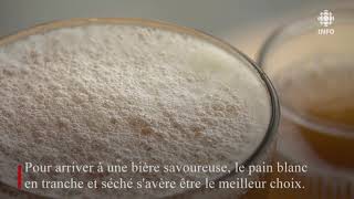 Transformer le pain en bière pour contrer le gaspillage alimentaire [upl. by Gridley481]