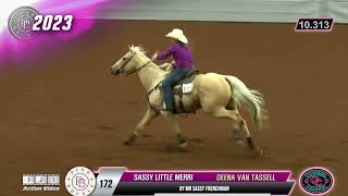 Fastest Five Futurity Round 1 [upl. by Chad]