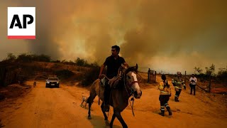 Dozens reported dead as Chile wildfires move into densely populated areas [upl. by Tymon340]