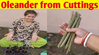 How to grow Oleander from cuttings  Growing Kaner Nerium Oleander Cuttings  Oleander propagation [upl. by Notreve]