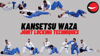 Kansetsu Waza  Joint Locking Techniques [upl. by Atteiram]