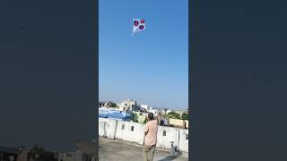 3 Tawa Mash  Kite Flying  Patang Flying kite patangflying basant [upl. by Aimee]