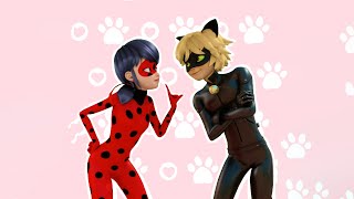 Miraculous Ladybug Season 4「AMV」 Psycho [upl. by Agnella959]