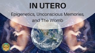 IN UTERO Epigenetics Unconscious Memories and The Womb  Stephen Gyllenhaal  ATTMind 74 [upl. by Oiceladni]