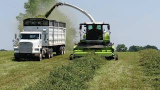 Heifer Haven Farms Custom Clover Chopping at Robson Farms [upl. by Bate]