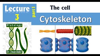 3aCytoskeleton part1CellHistology [upl. by Odille]