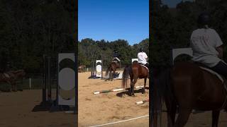 Weird angle ottb thoroughbred jumping owner8 [upl. by Nilloc]