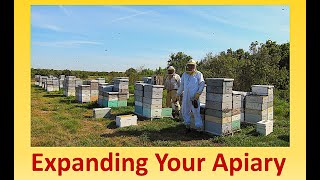 Expanding Your Apiary Part 1 [upl. by Ahcsatan643]