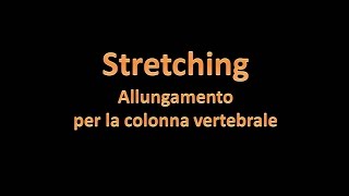 Stretching per la colonna vertebrale [upl. by Godwin]