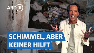 Mieten und Bauen Herausforderungen auf dem Wohnungsmarkt  Die Tricks… NDR amp SWR [upl. by Norward]