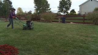 Lawn Care  Raking vs Aerating [upl. by Nnyleuqaj]