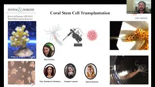 Biomedical tools for environmental needs Stem cell therapy for corals  Benyamin Rosental [upl. by Rico]