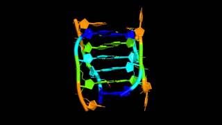 imotif in the high resolution crystal structure of the dCCCT tetramer [upl. by Etezzil943]