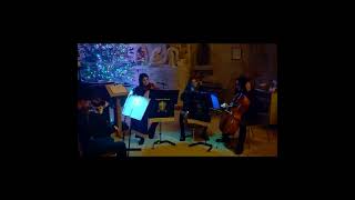 Twynham School String Group  O Come all Ye Faithful [upl. by Kcirrek245]