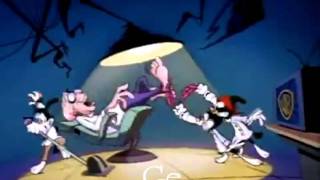 Animaniacs Multilanguage Intro [upl. by Lap183]