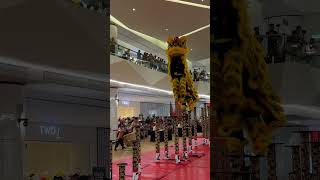 Dai Tong Bak Hock  Pinnacle Sri Petaling Mall Lion Dance Championship 2024  Highlights [upl. by Saenihp371]