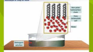 Cleansing Action Of Soap [upl. by Aicenat]