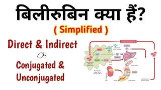 बिलीरुबिन क्या हैं Direct Bilirubin amp Indirect Bilirubin Conjugated amp Unconjugated Bilirubin [upl. by Haibot791]