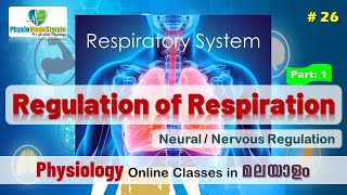 Ep26  Regulation of Respiration Part1  NeuralNervous Regulation humanphysiology malayalam [upl. by Paquito]