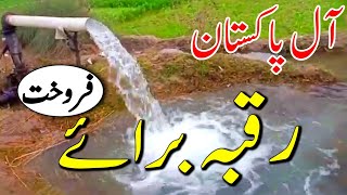 Jhorar Point Land For Sale  Agriculture Land For Sale In Pakistan  zarai Zameen Punjab  Ep 5 [upl. by Niatsirhc]