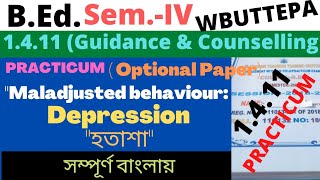 BEd 4th Sem Maladjusted behaviour  Depression Practicum 1411 Optional Guidance amp Counseling [upl. by Eocsor]